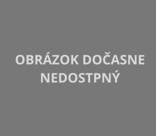 Páčka zadnej ručnej brzdy (Brembo)